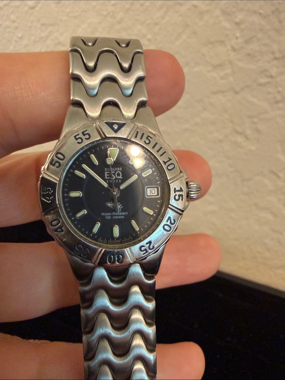 ESQ Swiss Stainless Steel Diver Watch - Black Dial